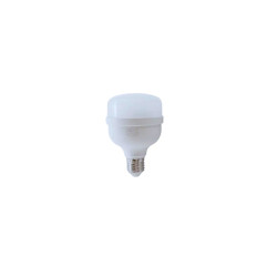 LEDBEE LAMPADA LED 30W 6500K (LL1379) (CX50PÇS/5UN)