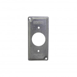 DAISA PLACA 1